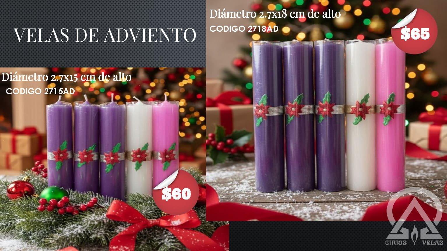 Catalogo Adv y Dev 2026 ALFA OMEGA_Página_09