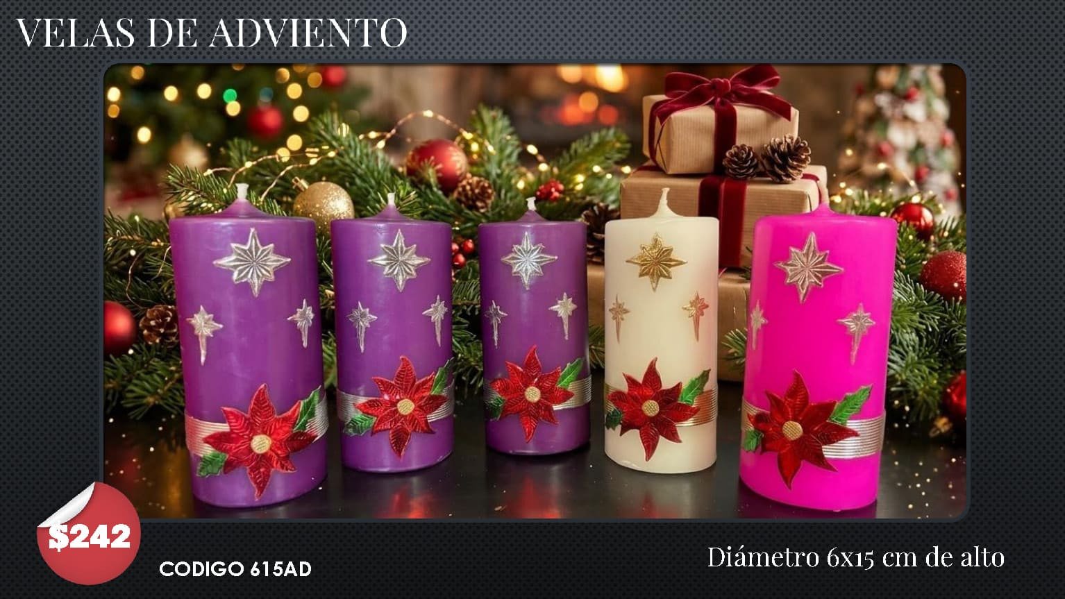 Catalogo Adv y Dev 2026 ALFA OMEGA_Página_13